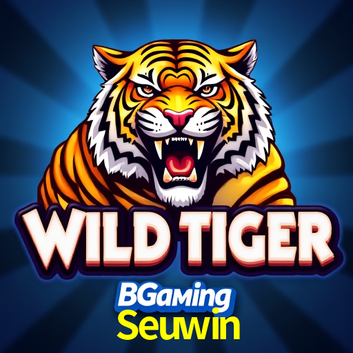 Estatísticas do Jogo Seuwin